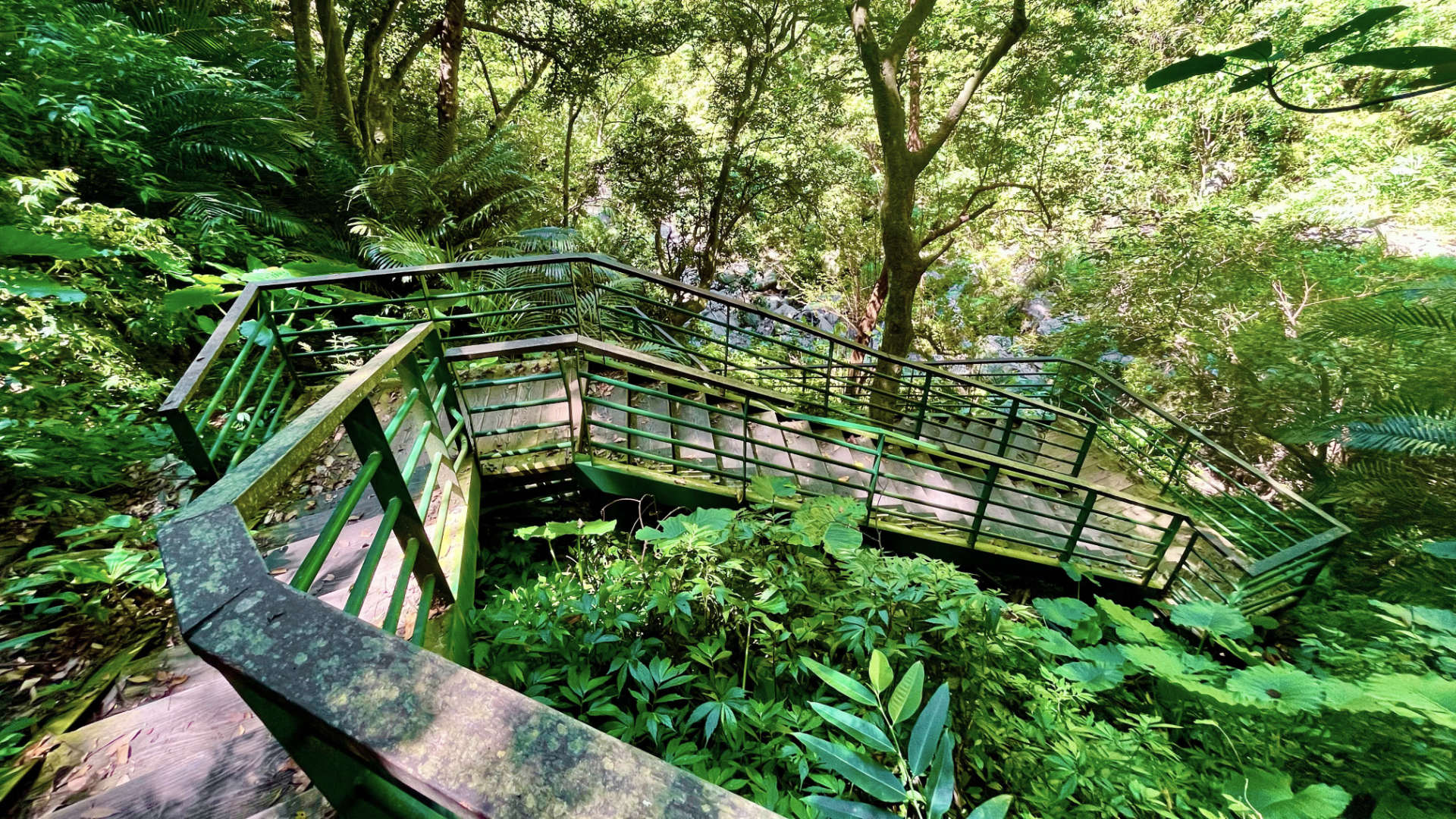 A zig-zagging metal and wooden staircase on the side of a jungle-clad mountain.