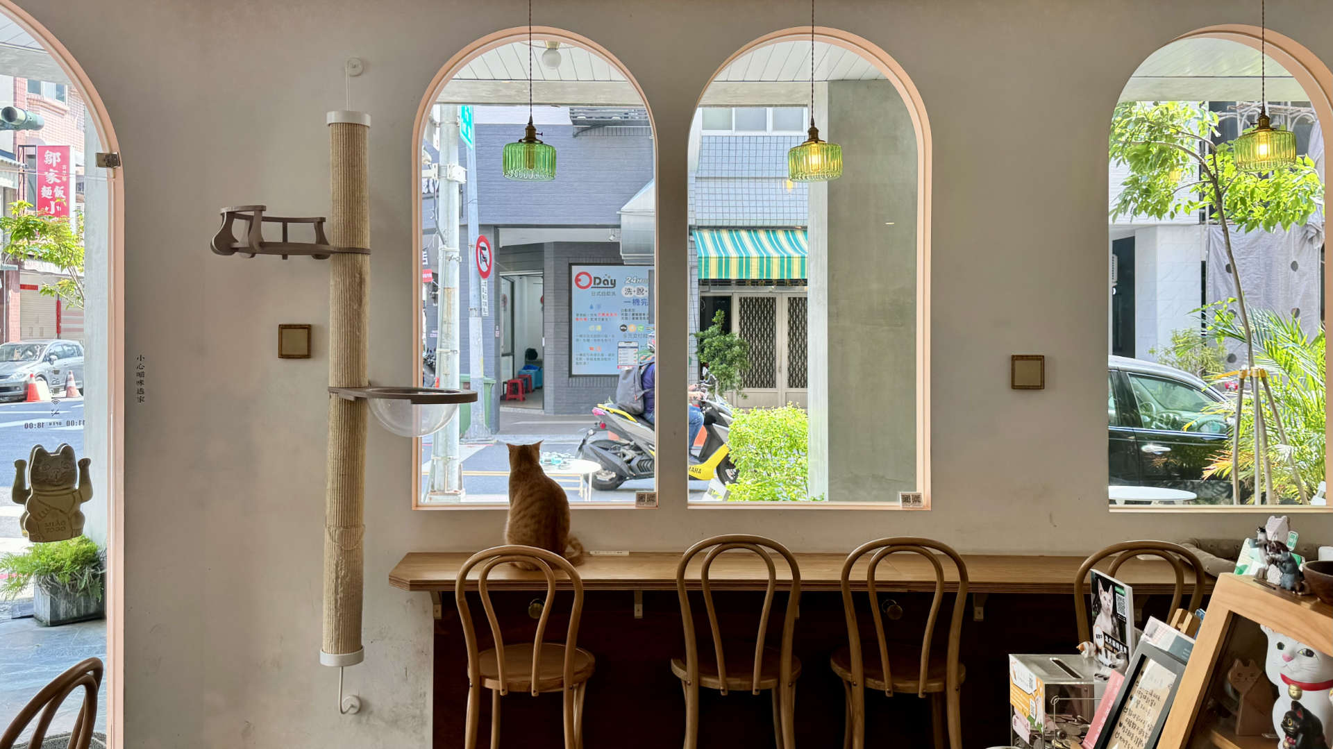 Wide-angle view of the cafe interior. On the opposite side of the room, a cat is sitting at a window, looking outside. There is cat-themed merchandise in the cabinet on the right.