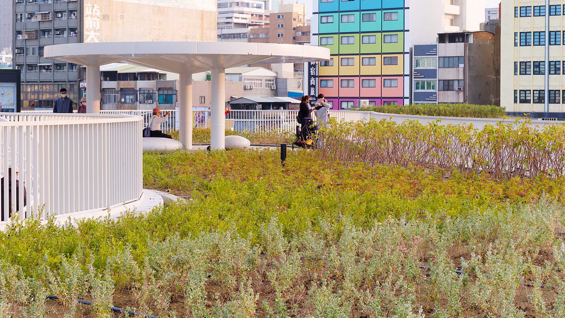 Viewed from across a garden, two people look out at the Kaohsiung cityscape.