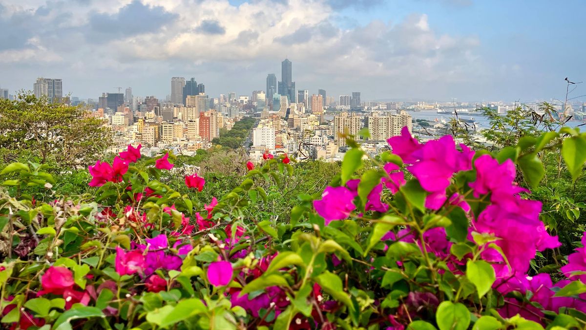 Panoramic view of Kaohsiung City with flowers in the foreground.