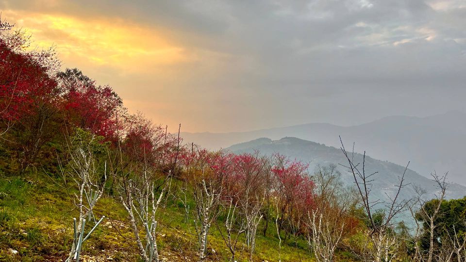 A trip to Baoshanerjituanyinghua Park